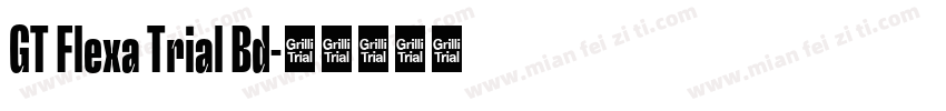 GT Flexa Trial Bd字体转换
